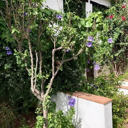 Holiday home Alpujarra Garden Oasis *
